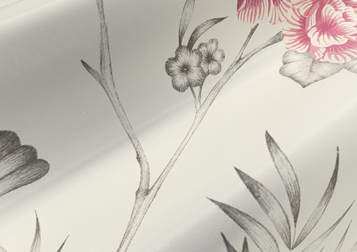 Borneo, Rose - Roman Blind - Image 4